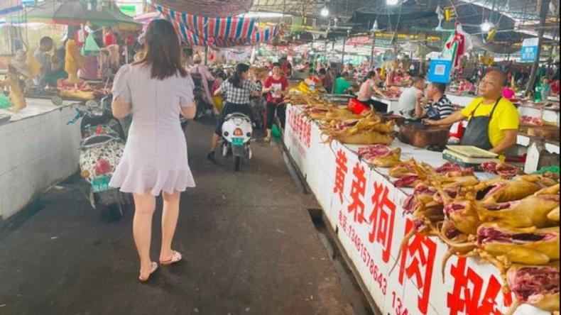 Ngeri, 5.000 Anjing Dibunuh untuk Festival di China