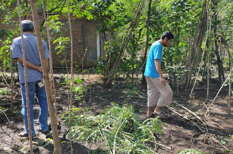 Gegara Sapi Ngamuk, Warga Gunungkidul Tewas Tersengat Listrik