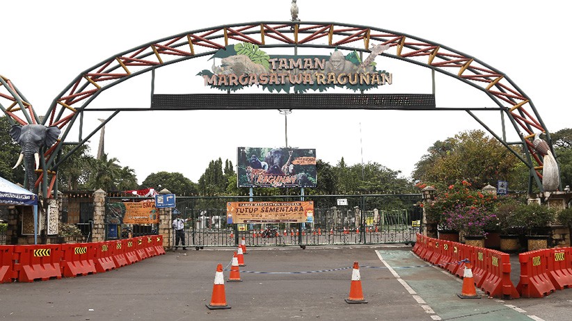 Segera Dibuka, Masuk Taman Margasatwa Ragunan Wajib Gunakan Aplikasi PeduliLindungi