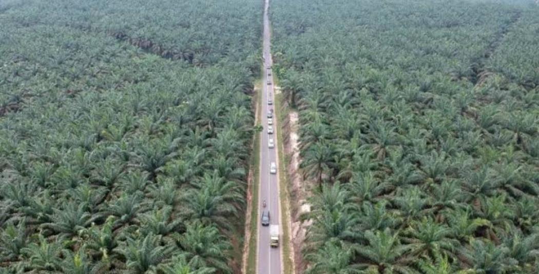 Deretan Jalur Rawan Lintas Sumatera, Waspada Jalan Rusak, Penampakan hingga Perampokan 