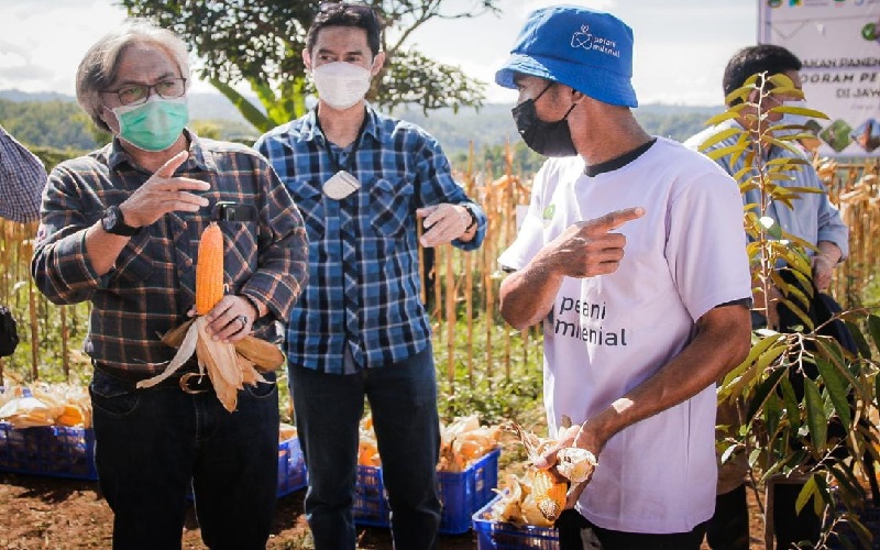 Program Ridwan Kamil Mulai Tunjukkan Hasil, Petani Milenial Panen Puluhan Ton Jagung Hibrida