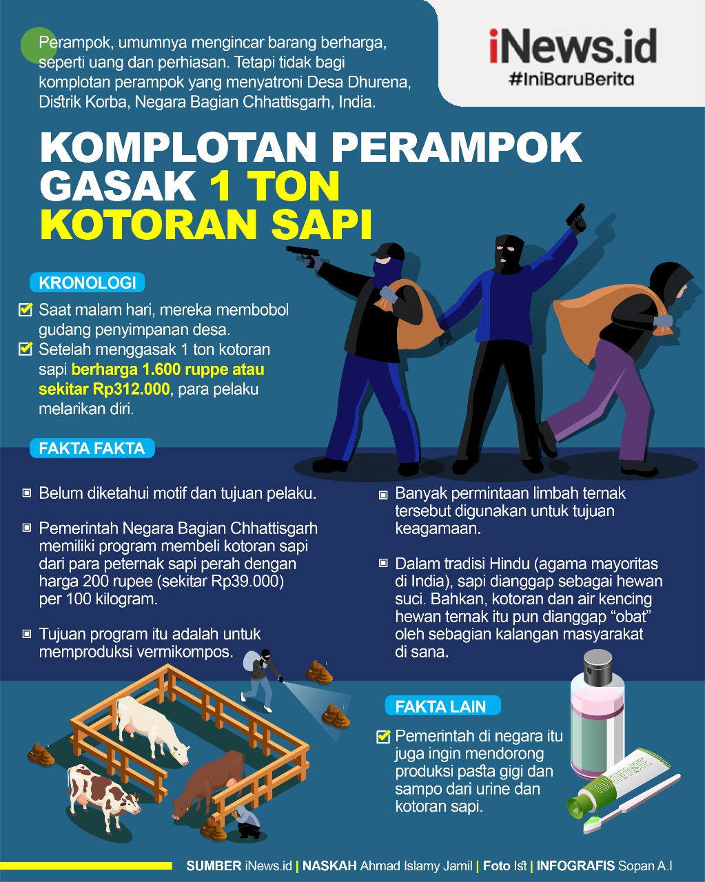 Infografis Komplotan Perampok Gasak 1 Ton Kotoran Sapi