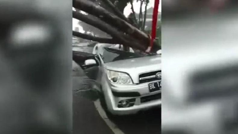 Pohon Tumbang Timpa Mobil di Depan RSUP Adam Malik, 2 Penumpang Tewas 