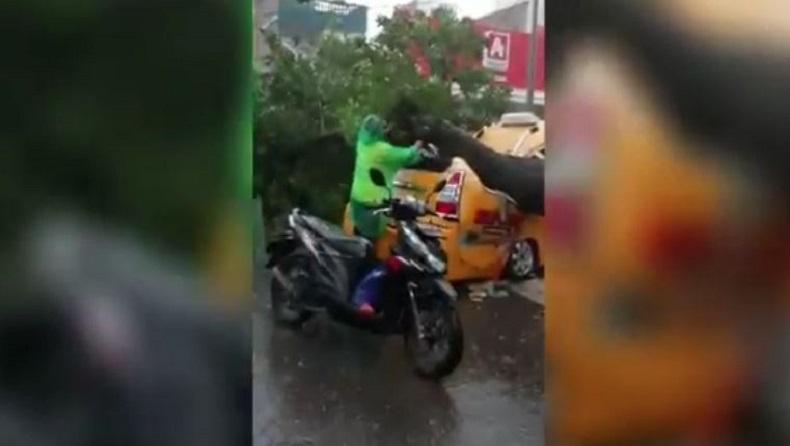 Identitas 2 Pegawai RSUP Adam Malik Medan yang Tewas Tertimpa Pohon Tumbang