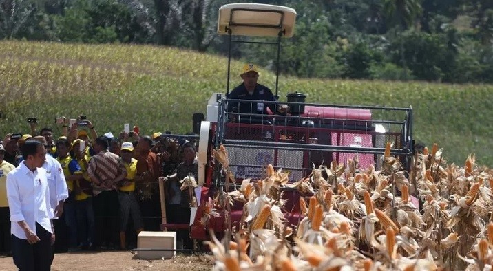 Tak Hanya Transportasi, Kelangkaan BBM Juga Pengaruhi Sektor Pertanian