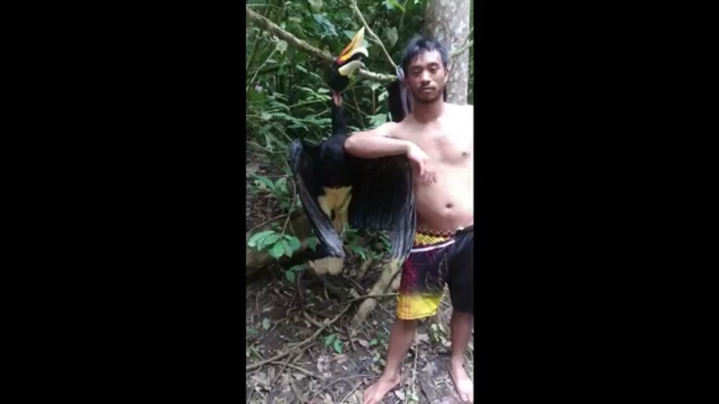 Penembak Burung Langka di Bener Meriah Santap Hasil Buruan