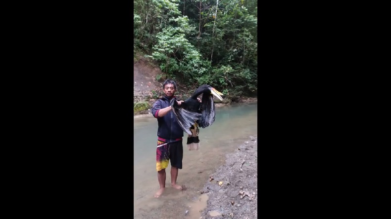 Tembak Burung Langka, Warga Bener Meriah Aceh Viral lalu Ditangkap Polisi
