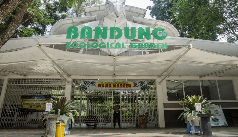 Pengadilan Putuskan Tanah Kebun Binatang Milik Pemkot Bandung, Yana Mulyana Bilang Begini