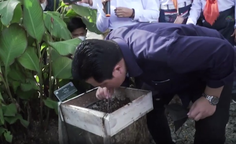 Saat Erick Thohir Uji Nyali Sedot Madu Langsung dari Sarang Lebah