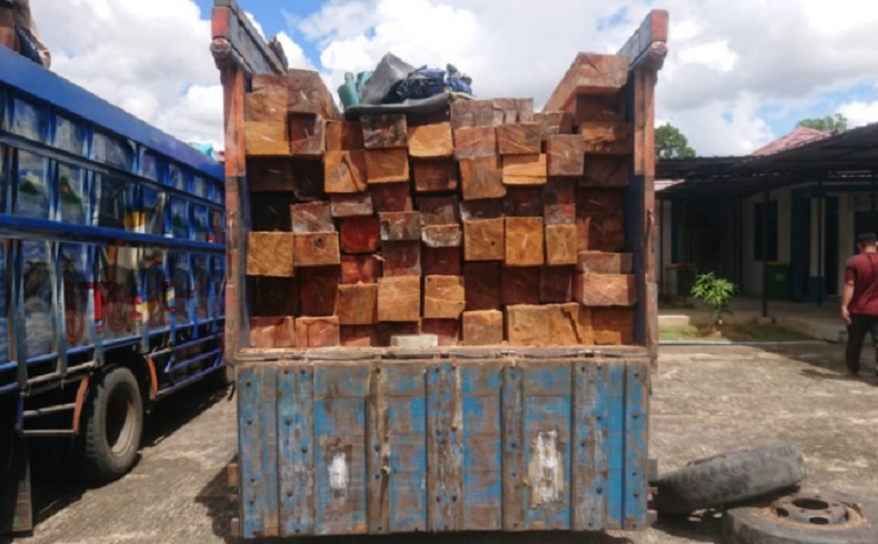 Angkut 144 Batang Kayu Ilegal, 2 Warga Kubu Raya Jadi Tersangka Illegal Logging
