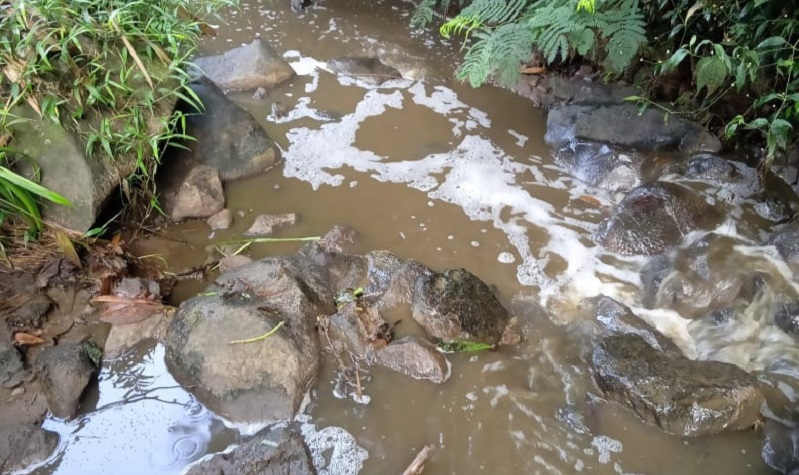 Limbah Diduga Cemari Sungai, PT Greenfields di Blitar Direkomendasikan Tutup 
