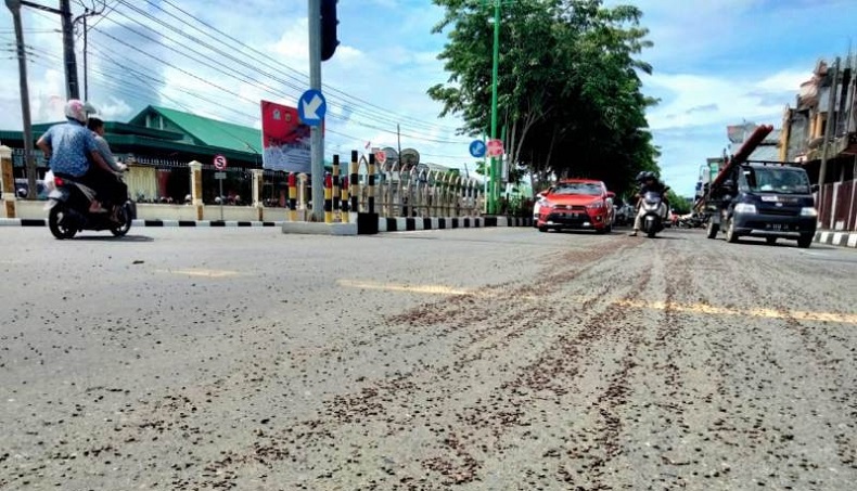 Cangkang Sawit Tumpah di Jalanan Meulaboh, Warga Tergelincir