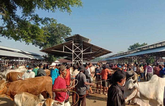 Warga Beramai-Ramai Jual Ternak Akibatkan Kerumunan di Pasar Hewan Siyono Gunungkidul  
