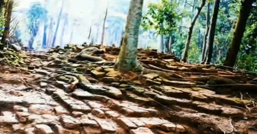 Tersembunyi di Pekarangan Rumah Warga, Ditemukan Candi Kuno Lebih Tua daripada Borobudur