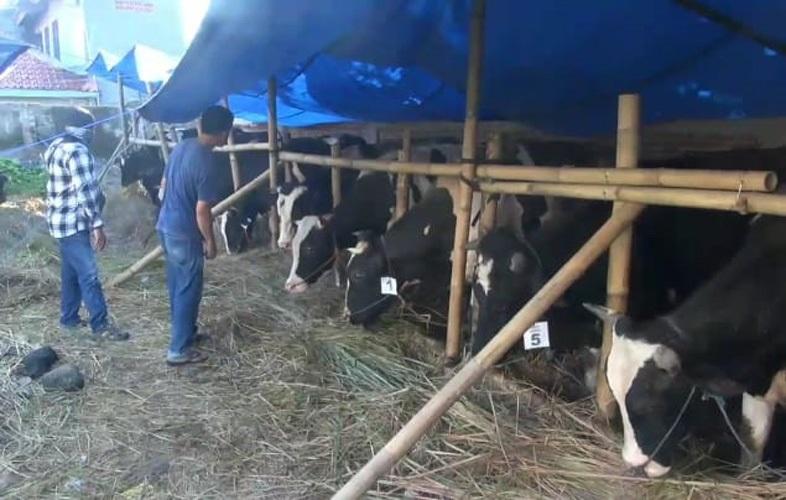 3 Golongan Penerima Daging Qurban yang Perlu Diketahui