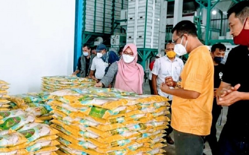 Petani Sumbawa Hasilkan Beras Premium, Gubernur NTB: Harga Gabah Bisa Stabil 