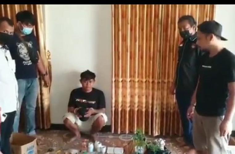 Gerebek Rumah Pengedar Narkoba di Tegal, Polisi Temukan Tanaman Ganja dalam Pot