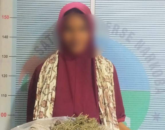 Simpan Ganja Kering Milik Suami Seberat 500 Gram, Perempuan Ini Ditangkap Polisi