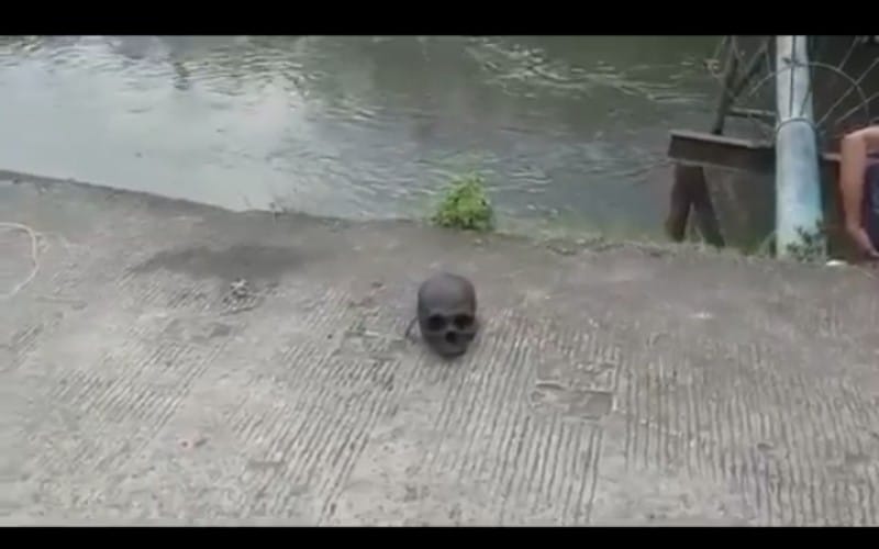 Palembang Geger, Ada Kepala Manusia yang Tinggal Tengkorak di Sungai Bendung 