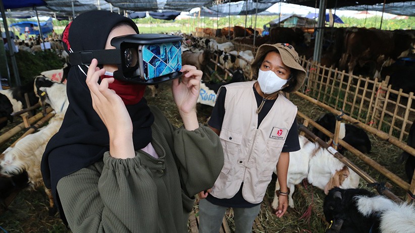 Dinas Pertanian Ternate Kerahkan Tim Pemeriksa Kesehatan Hewan Kurban