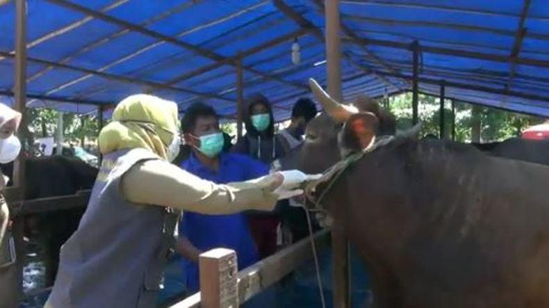 Hukum Qurban untuk Orang Meninggal