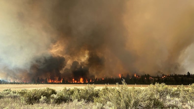 Hutan Puluhan Hektare Terbakar, 2.000 Penduduk Terpaksa Dievakuasi