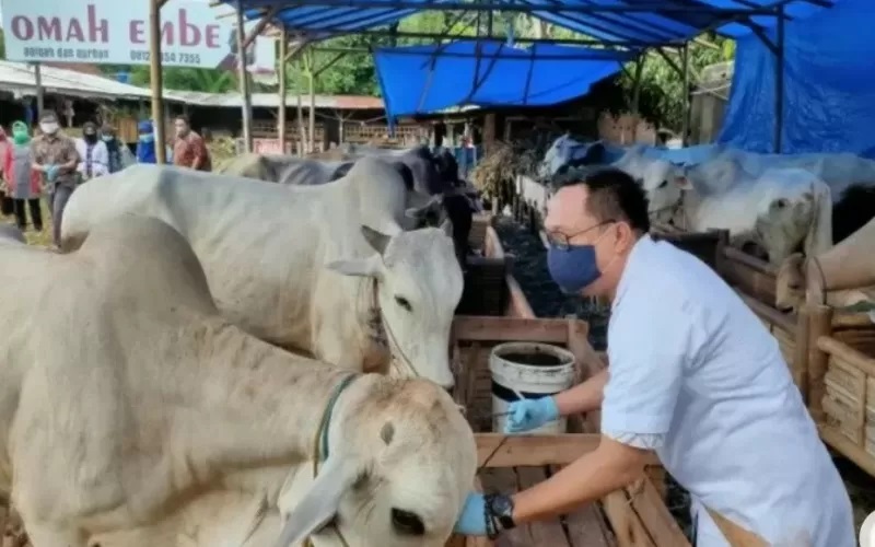 Pemkot Salatiga Bentuk Tim Pemantau untuk Pastikan Hewan Kurban Bebas PMK