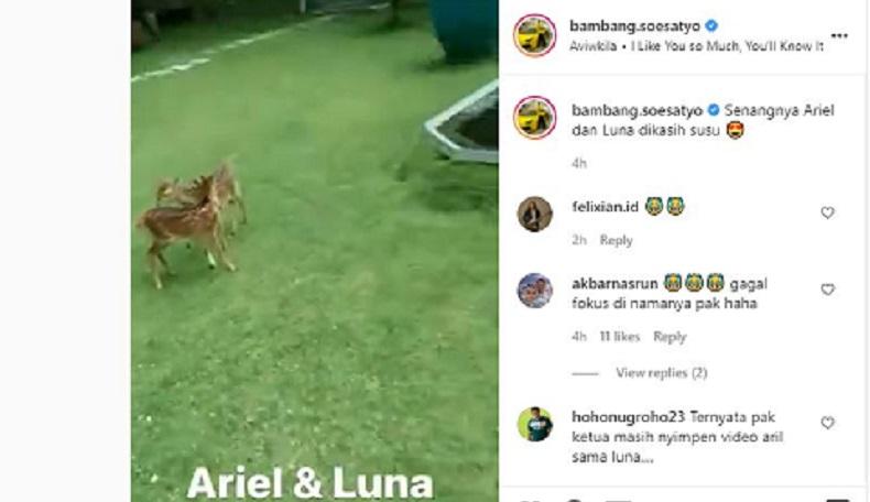 Bamsoet Unggah Video Ariel dan Luna, Netizen : Videonya Heboh Pak