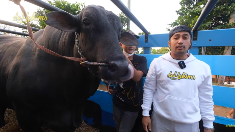 Grandong, Sapi Hitam 1,3 Ton Ini Bikin Irfan Hakim Bolak-Balik Takjub