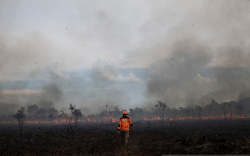 Kebakaran Lahan Kembali Terjadi di Ogan Ilir, Polisi Lakukan Penyelidikan 