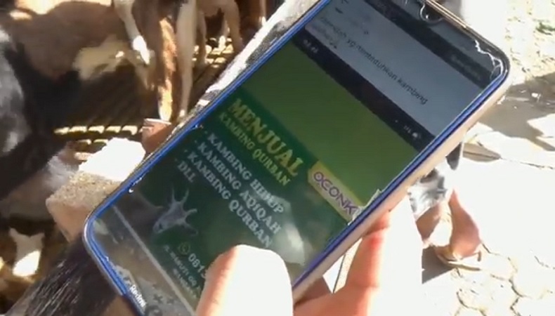 Sepi Terdampak PPKM Darurat, Penjual Hewan Kurban di Bali Gunakan Medsos