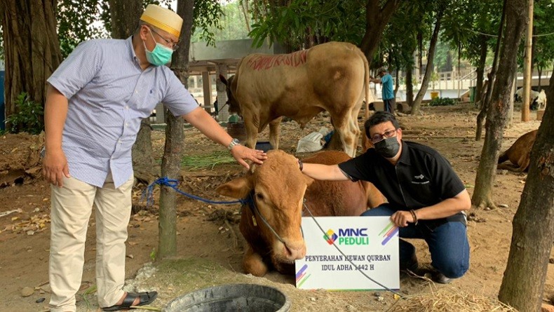 MNC Peduli Salurkan Sapi Limosin untuk Masjid Istiqlal
