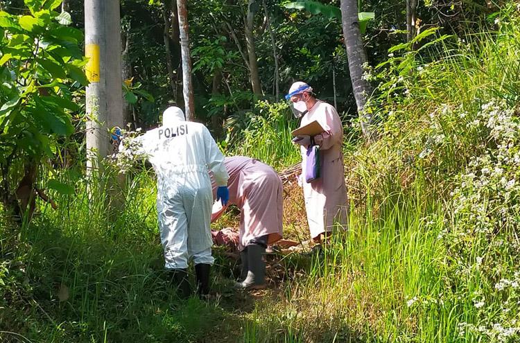 Pamit Cari Kayu Bakar Nenek di Kulonprogo Ditemukan Tewas