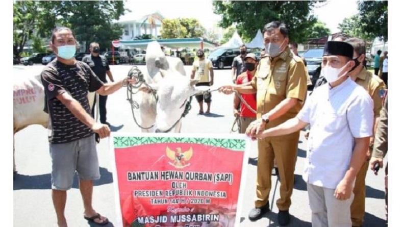 Idul Adha, Gubernur Sulut Olly Dondokambey Serahkan 61 Sapi Kurban ke Sejumlah Masjid