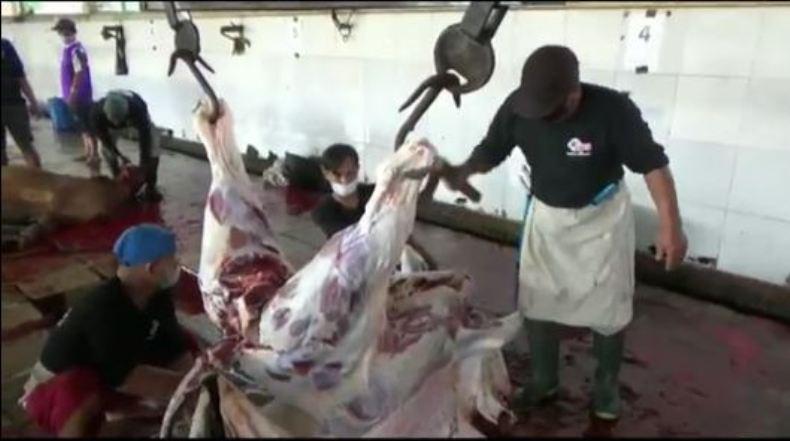 Hukum Menjual Daging Kurban Menurut Ulama 4 Mazhab