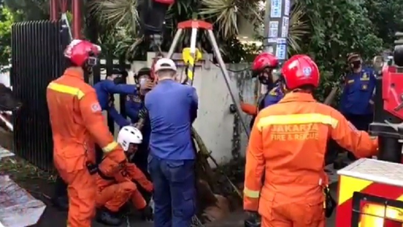 Evakuasi Sapi Terjebak di Saluran Air Pondok Aren Tangsel Berlangsung Empat Jam