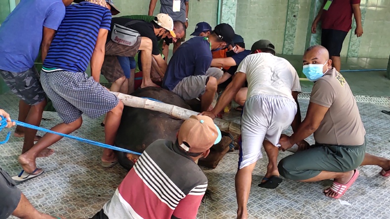 Doa Menyembelih Hewan Kurban untuk 7 Orang, Arab, Latin, dan Artinya