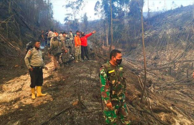 50 Hektare Hutan Lindung Bukit Suligi Rokan Hulu Terbakar, BMKG Temukan 46 Titik