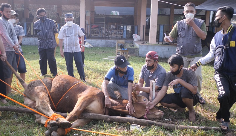 Kurban Empat Sapi, ARS University Ajak Mahasiswa Maknai Sikap Berkorban