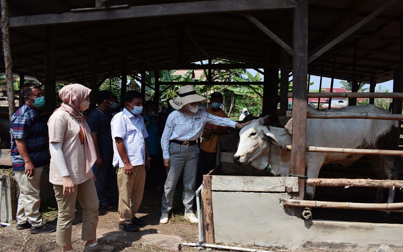 Anggota DPR Renny Astuti Pantau Usulan UPPO Milik Warga di Banyuasin 