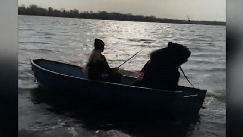 Pemberani, Wanita Rusia Ini Pelihara Beruang Cokelat Jumbo 