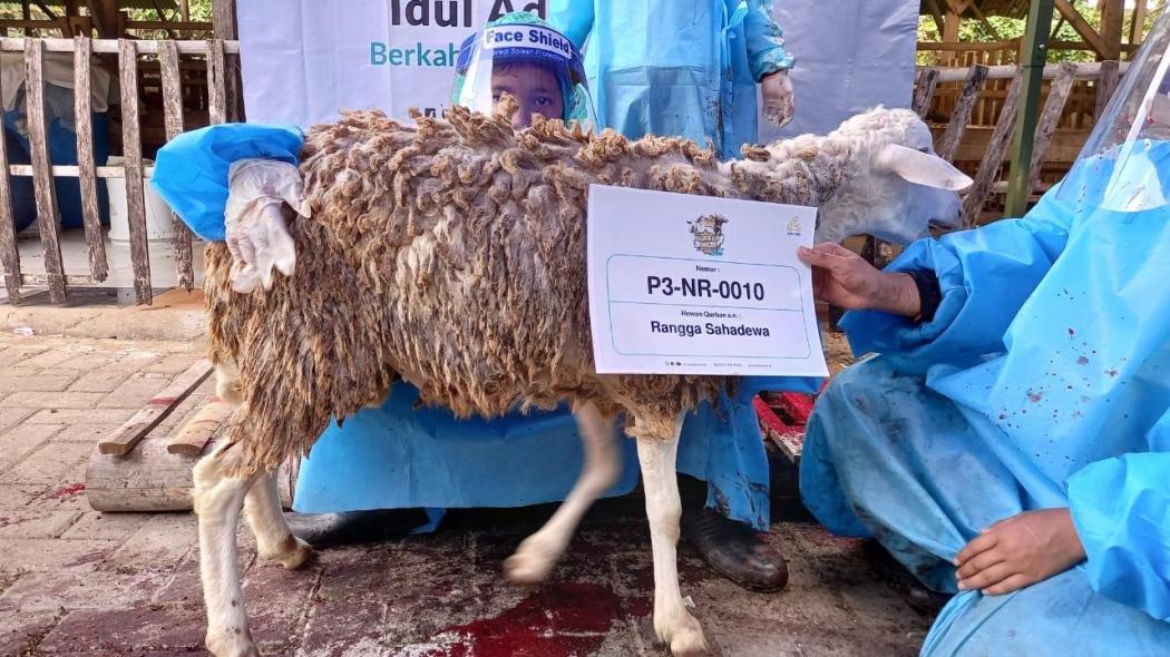 PPKM Level 4, Lembaga Amil Zakat Diminta Jalankan Donasi Umat Sesuai Protokol Kesehatan