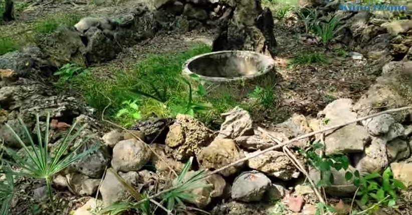 Mengintip Keunikan Air Sumur Mendidih dan Fosil Laut Berbentuk Aneh di Hutan Gunung Citro