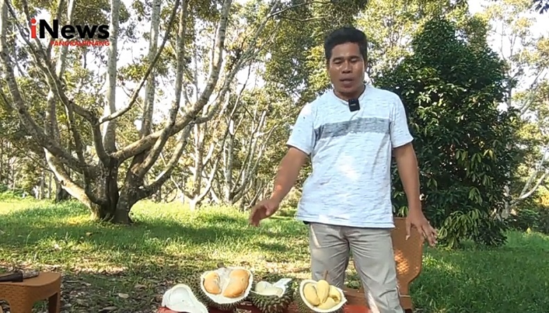 Dulu Dianggap Kurang Kerjaan, Kini Hulis Punya 6 Hektare Kebun Durian 