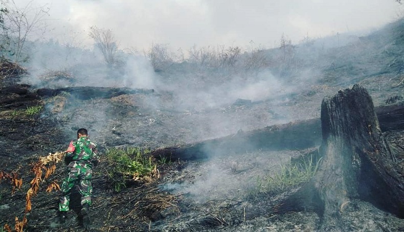 Karhutla, Dandim Warning Aceh Tengah Bisa seperti Turki