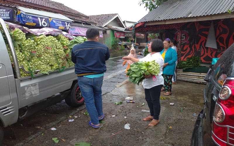 Ringankan Beban Petani, DPC PTI Sukabumi Borong Caisim, Dibagikan Gratis kepada Warga