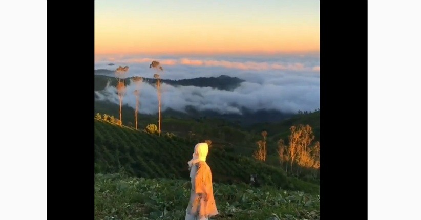 Ide Wisata di Bandung, Asyik ke Taman Langit Pangalengan Menikmati Hamparan Awan