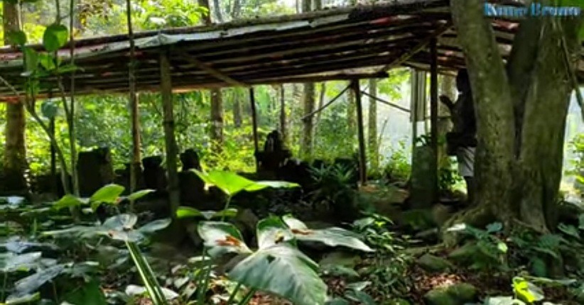 Terungkap Rumah Peninggalan Zaman Majapahit, Suasananya Masih Asri dan Alami