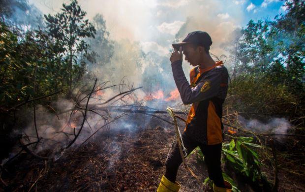 4 Titik  Panas Terdeteksi di Kaltim, Tersebar di 2 Kabupaten