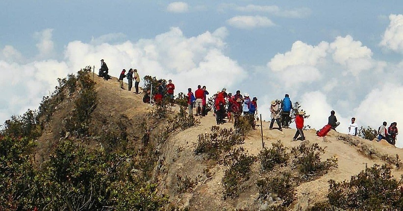 Terpikat Keindahan Gunung Lawu, Unik Ada Monyet Liar Mengincar Makanan Pendaki